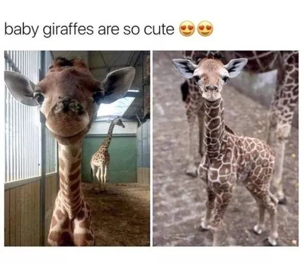 Wholesomeness is on the way - #12 
