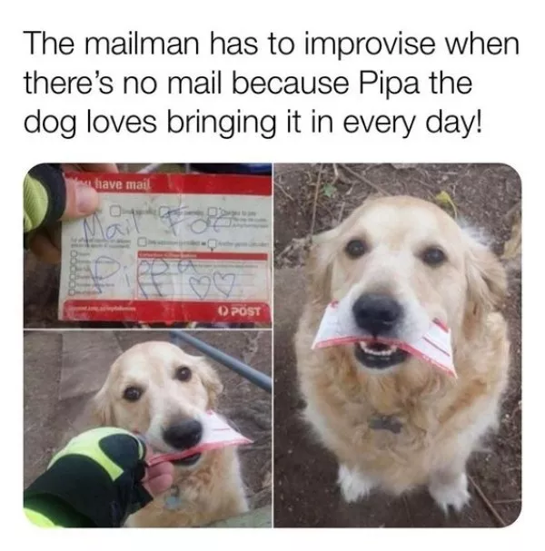 Wholesomeness is on the way