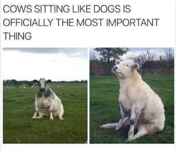 Wholesomeness is on the way - #14 