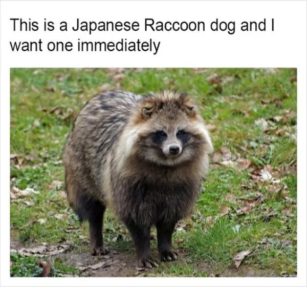 Wholesomeness is on the way - #16 