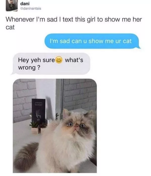 Wholesomeness is on the way - #18 
