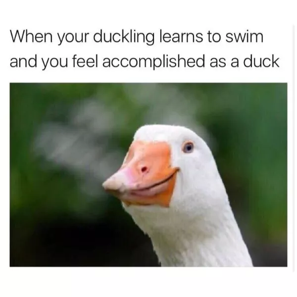 Wholesomeness is on the way - #19 