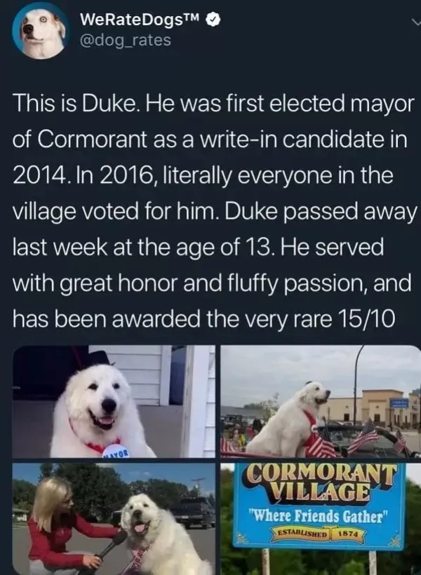 Wholesomeness is on the way - #27 Wholesomeness is on the way - #27