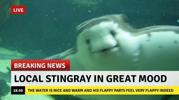 Wholesomeness is on the way - #4 