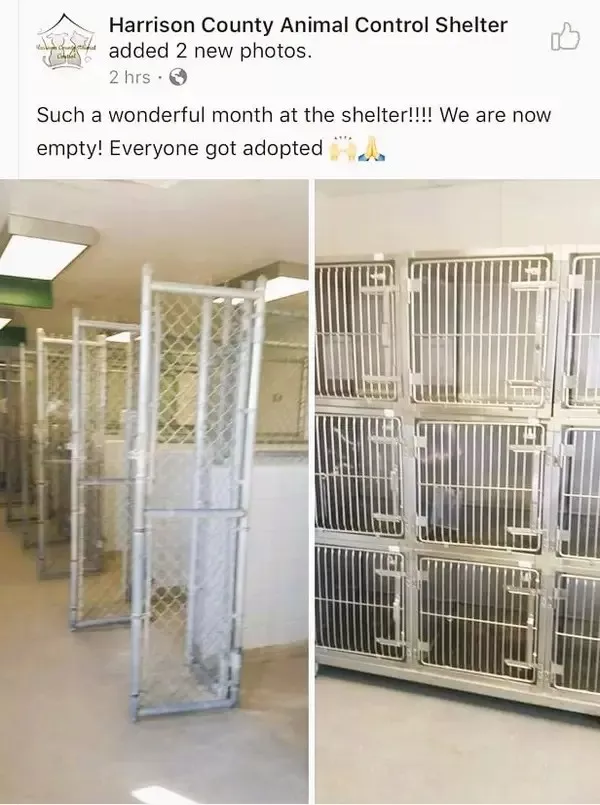 Wholesomeness is on the way - #6 