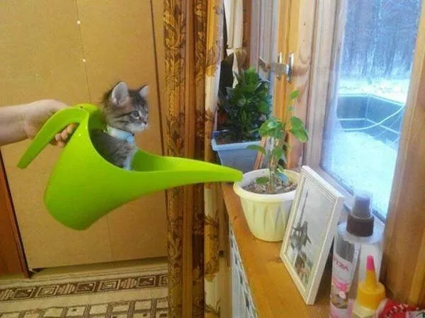 Picdump 1129 - #24 Picdump 1129 - #24