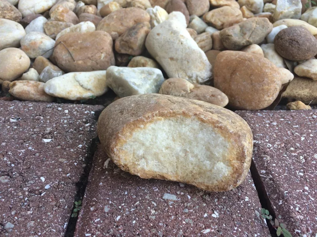 Pas comestible mais a lair delicieux - #2 Pas comestible mais a lair delicieux - #2