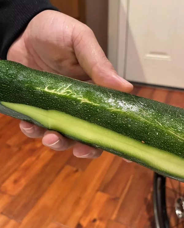 Curiosity now you have my attention - #14 Our zucchini looks like it has Elvish writing on it Curiosity now you have my attention - #14 Our zucchini looks like it has Elvish writing on it