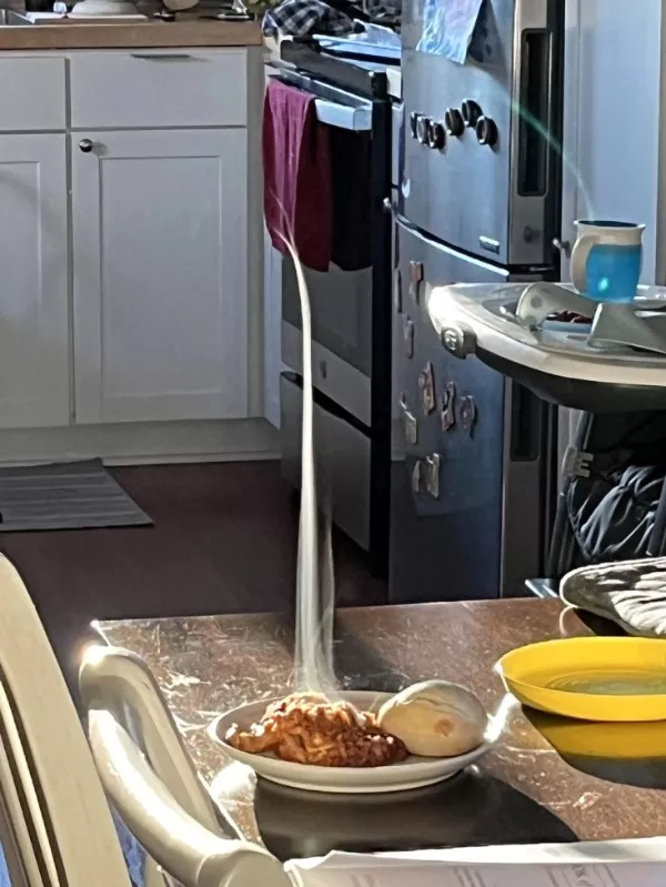 Curiosite et attention avec ces photos - #18 La vapeur de ma lasagne était droite comme une flèche Curiosite et attention avec ces photos - #18 La vapeur de ma lasagne était droite comme une flèche