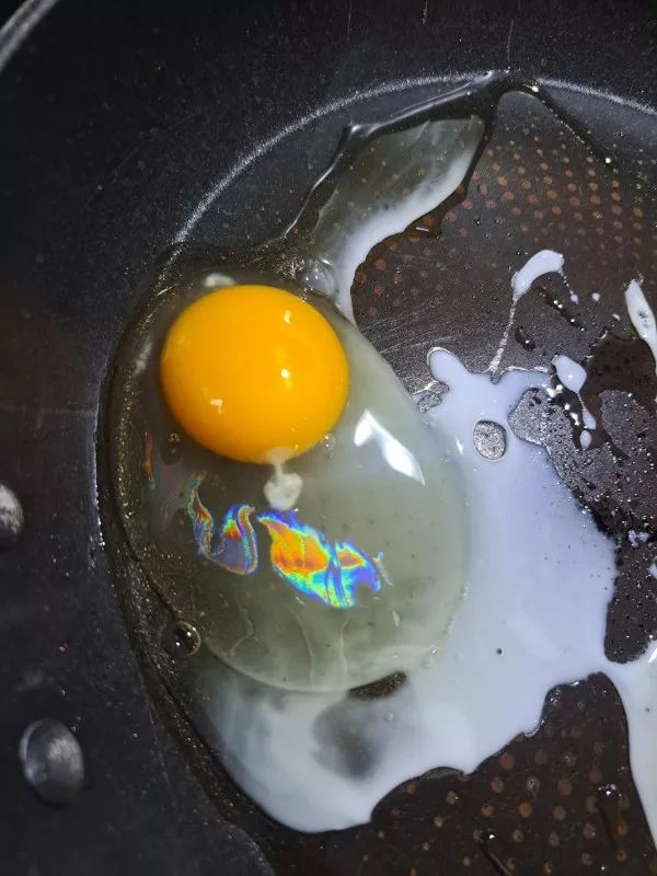 Curiosite et attention avec ces photos - #5 Mes œufs étaient iridescents ce matin Curiosite et attention avec ces photos - #5 Mes œufs étaient iridescents ce matin