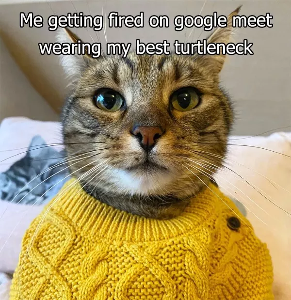 Les memes les plus frais du moment - #11 Les memes les plus frais du moment - #11