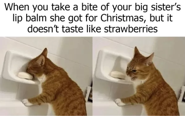 Les memes les plus frais du moment - #21 