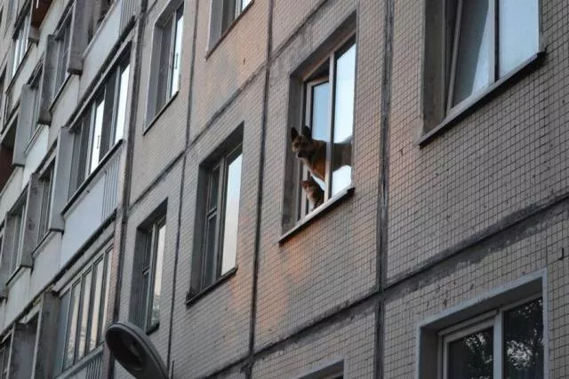 Picdump 155 - #39 