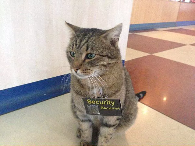 Picdump 155 - #66 