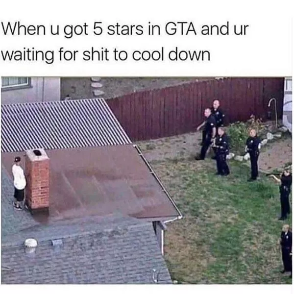 Seeking adventure found fresh memes - #5 