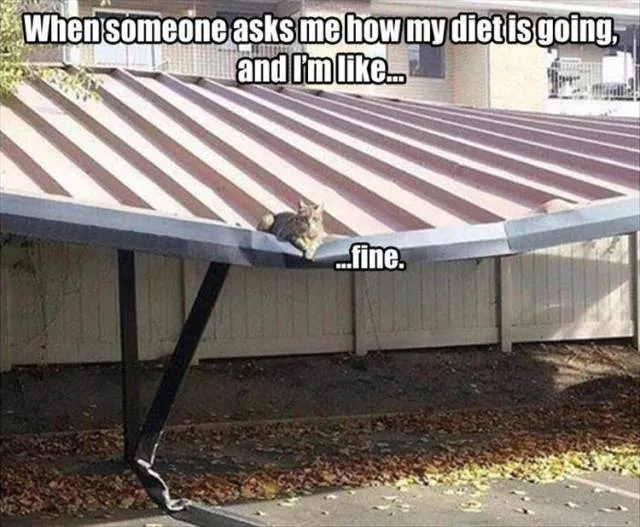 Picdump 156 - #1 