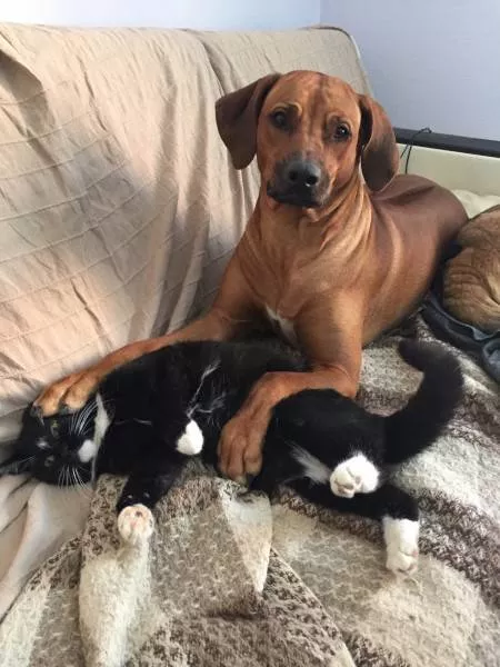 Picdump 156 - #35 