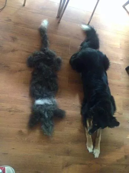 Picdump 156 - #53 