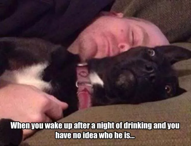 Picdump 156 - #63 