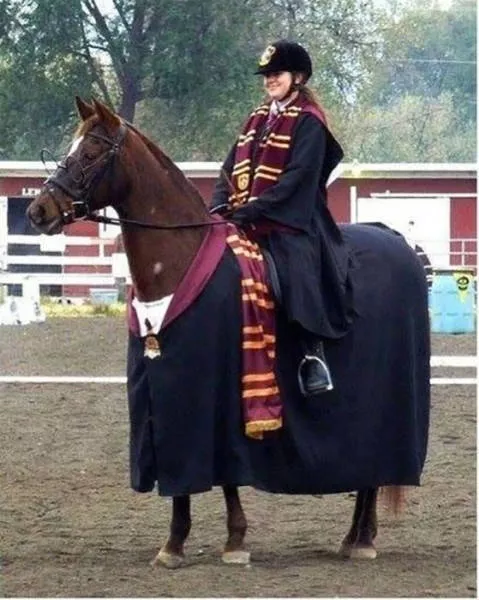 Picdump 156 - #71 