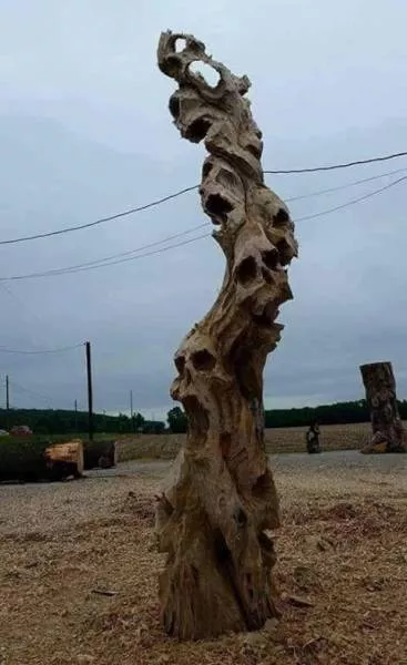 Picdump 156 - #79 
