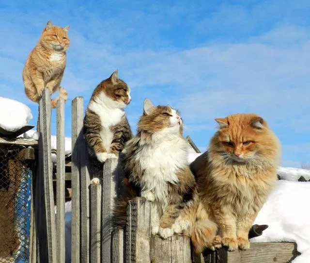 Picdump 156 - #90 