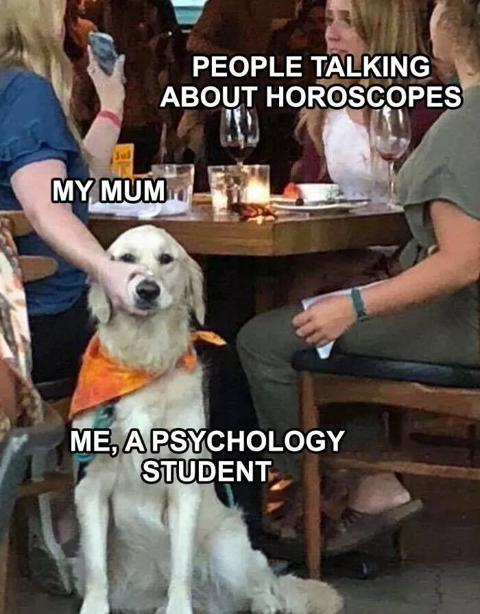 Psych memes that understand you better than your therapist - #4 Psych memes that understand you better than your therapist - #4