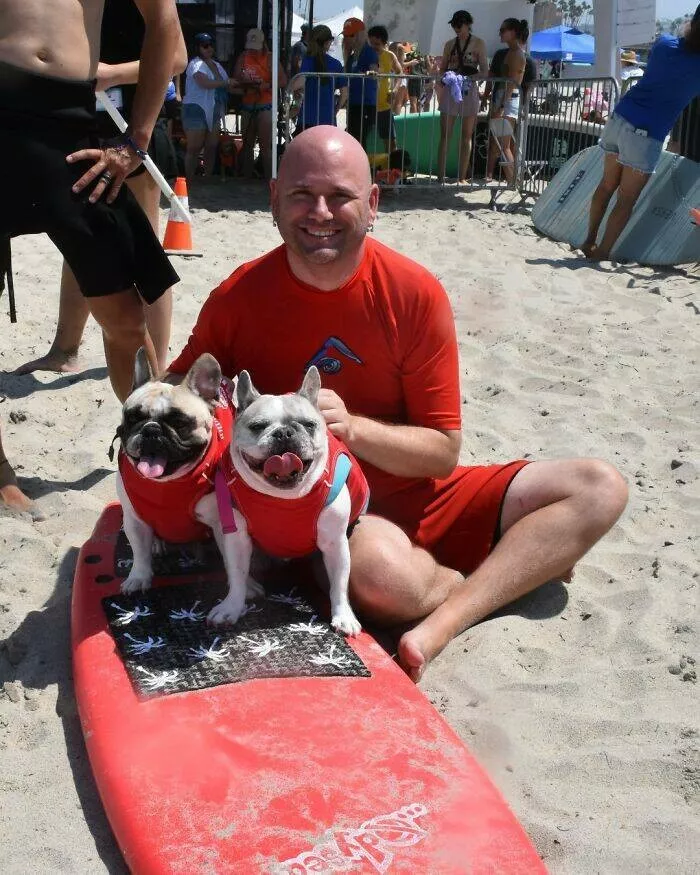 Des chiens adorables maitres des vagues - #15 Des chiens adorables maitres des vagues - #15