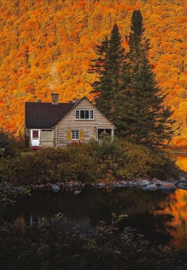 La collection ultime dobjets tres cool - #16 