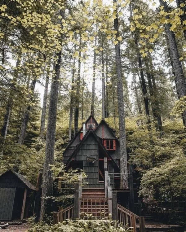 La collection ultime dobjets tres cool - #6 