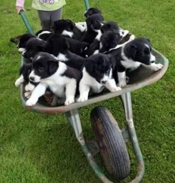 La collection ultime dobjets tres cool - #7 