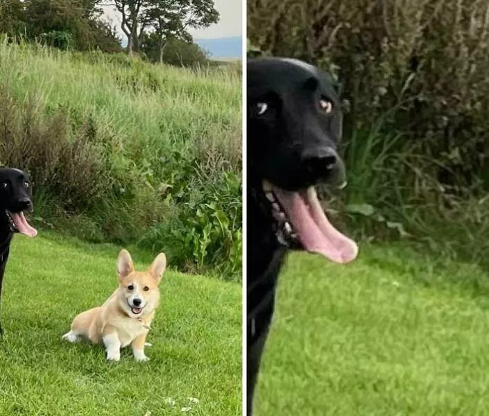 The best hilarious photobomb moments - #23 