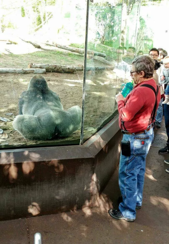 The best hilarious photobomb moments - #35 