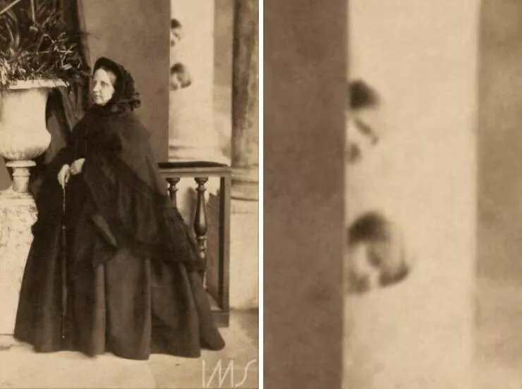 Les photobombs qui volent la vedette - #6 Les photobombs qui volent la vedette - #6