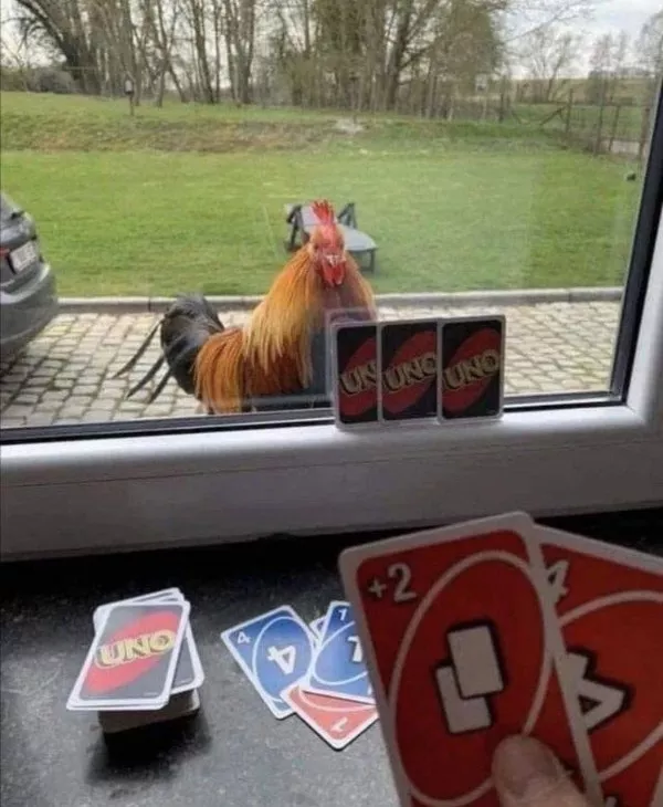 Picdump 1139 - #24 