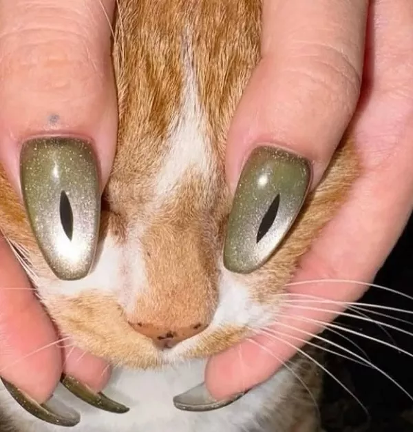 Picdump 1139