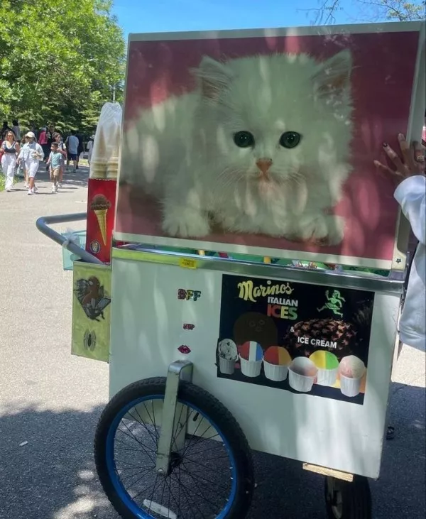 De la bonne bouffe et de bonnes boissons - #4 