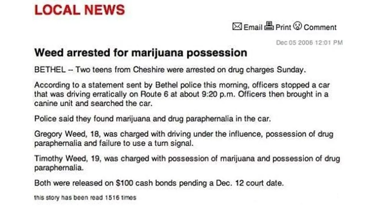 Des noms qui collent parfaitement a lemploi - #8 