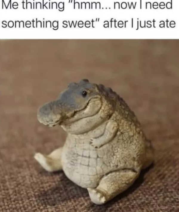 La dose de memes bienveillants du jour - #10 