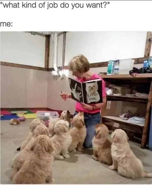 La dose de memes bienveillants du jour - #11 