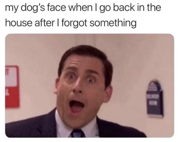 La dose de memes bienveillants du jour - #16 