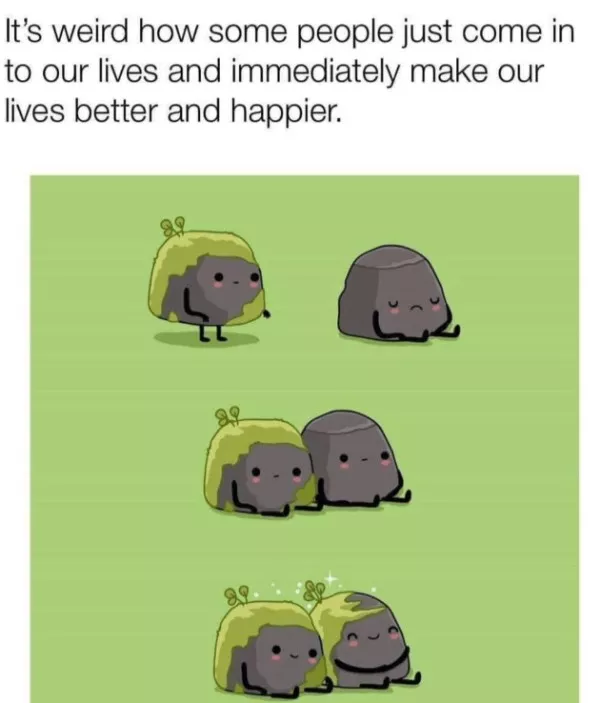 La dose de memes bienveillants du jour - #18 