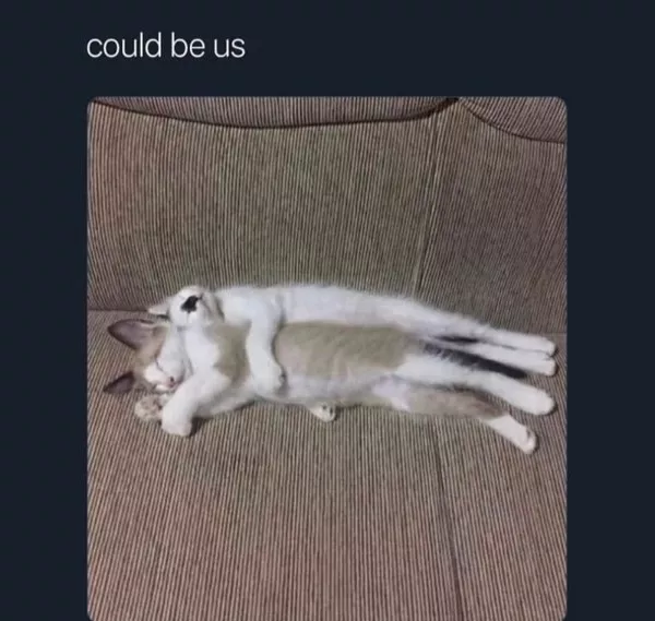 La dose de memes bienveillants du jour - #19 