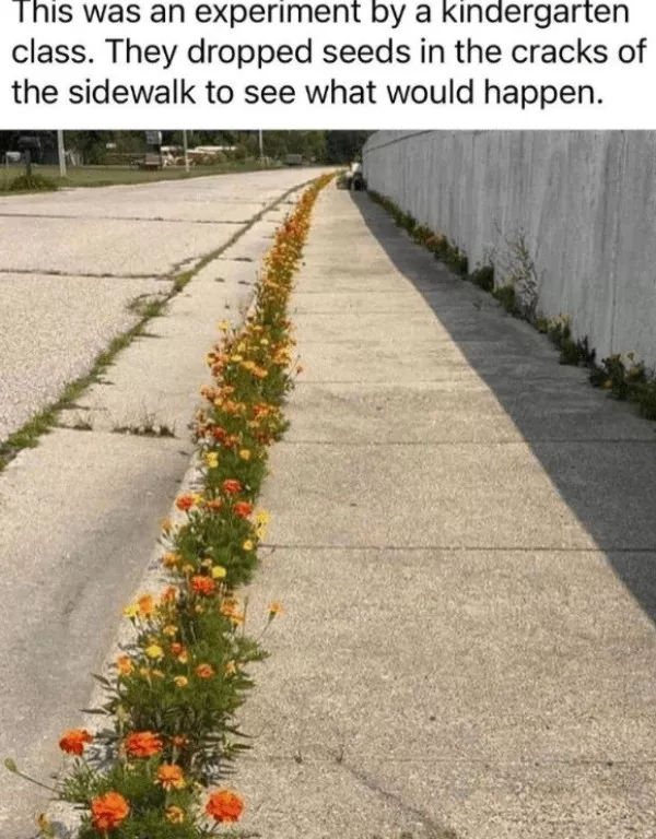 La dose de memes bienveillants du jour - #20 