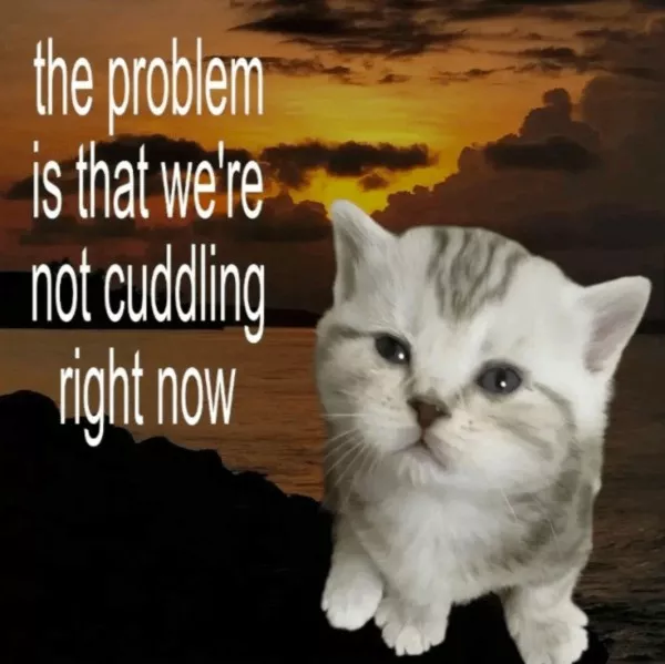 La dose de memes bienveillants du jour - #4 