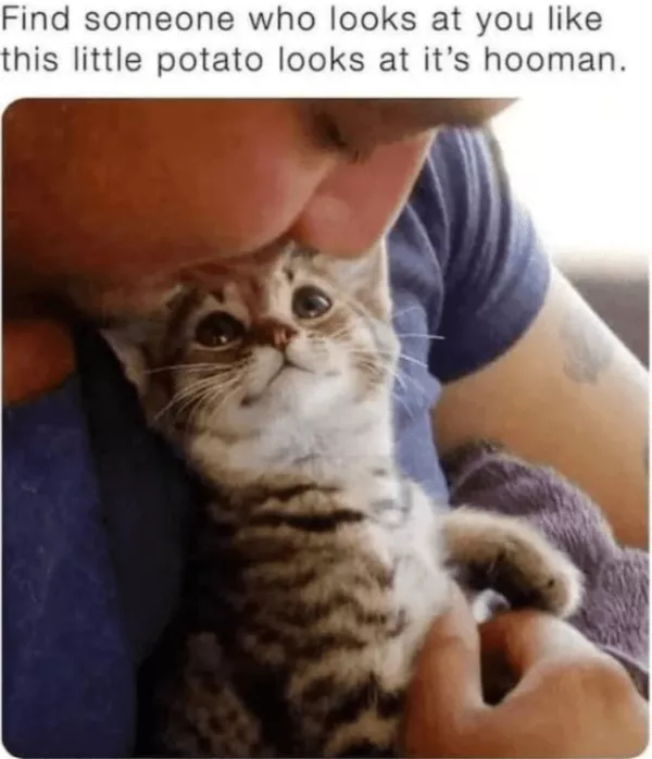 La dose de memes bienveillants du jour - #7 