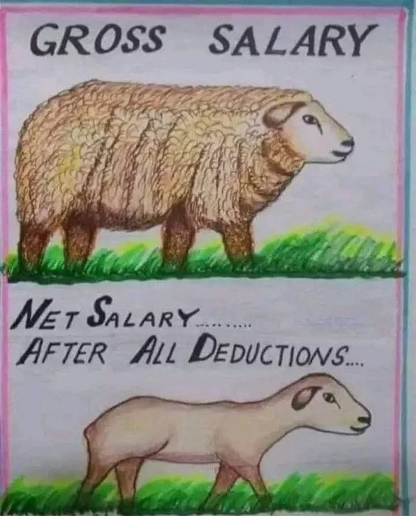 La selection de memes kitsch du jour - #11 