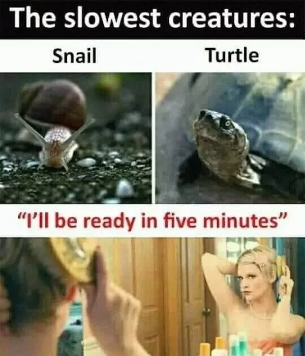 La selection de memes kitsch du jour - #9 