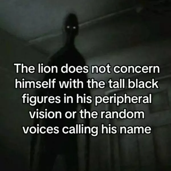 Le defi tu ris tu perds tu es la - #27 