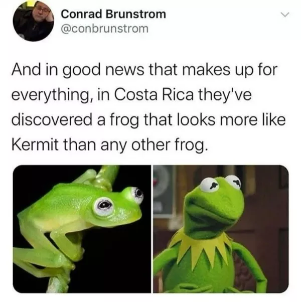 You laugh you lose challenge now - #36  You laugh you lose challenge now - #36